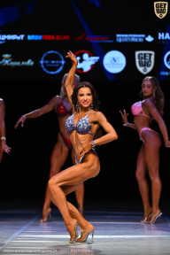 Кубок Вологодской области по бодибилдингу - 2026