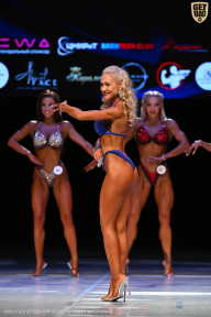 Кубок Вологодской области по бодибилдингу - 2026