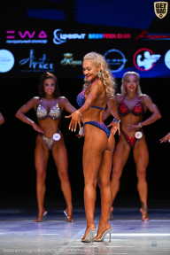 Кубок Вологодской области по бодибилдингу - 2026