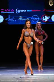 Кубок Вологодской области по бодибилдингу - 2026