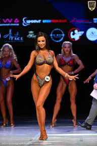 Кубок Вологодской области по бодибилдингу - 2026