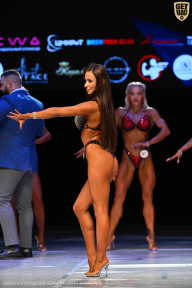 Кубок Вологодской области по бодибилдингу - 2026