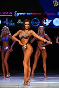 Кубок Вологодской области по бодибилдингу - 2026