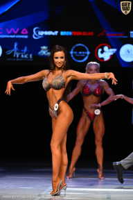 Кубок Вологодской области по бодибилдингу - 2026