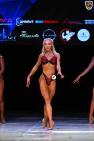 Кубок Вологодской области по бодибилдингу - 2026