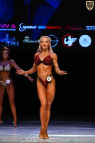 Кубок Вологодской области по бодибилдингу - 2026