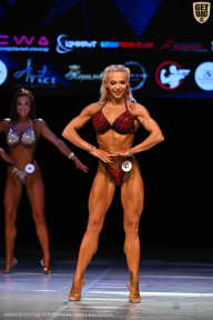 Кубок Вологодской области по бодибилдингу - 2026