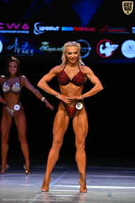 Кубок Вологодской области по бодибилдингу - 2026