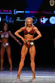 Кубок Вологодской области по бодибилдингу - 2026