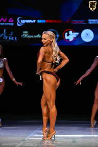 Кубок Вологодской области по бодибилдингу - 2026