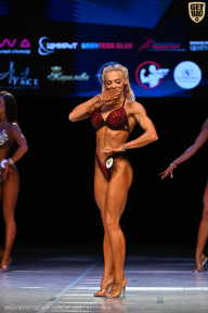 Кубок Вологодской области по бодибилдингу - 2026