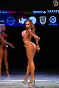 Кубок Вологодской области по бодибилдингу - 2026