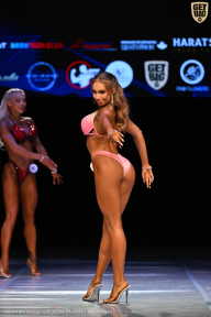 Кубок Вологодской области по бодибилдингу - 2026