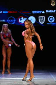 Кубок Вологодской области по бодибилдингу - 2026