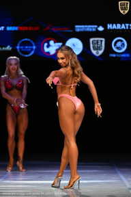 Кубок Вологодской области по бодибилдингу - 2026