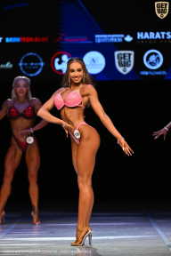 Кубок Вологодской области по бодибилдингу - 2026