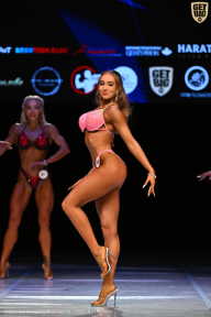 Кубок Вологодской области по бодибилдингу - 2026