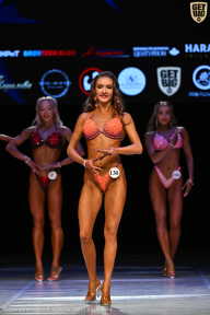 Кубок Вологодской области по бодибилдингу - 2026