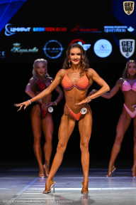 Кубок Вологодской области по бодибилдингу - 2026