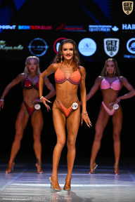 Кубок Вологодской области по бодибилдингу - 2026