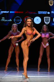 Кубок Вологодской области по бодибилдингу - 2026