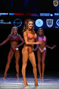 Кубок Вологодской области по бодибилдингу - 2026