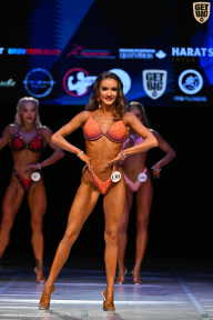 Кубок Вологодской области по бодибилдингу - 2026