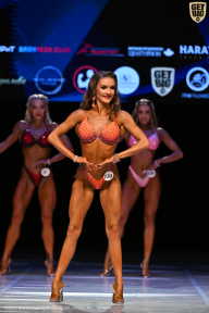 Кубок Вологодской области по бодибилдингу - 2026