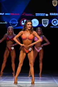 Кубок Вологодской области по бодибилдингу - 2026