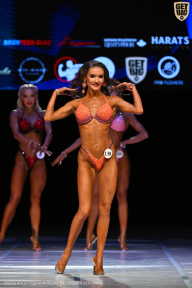 Кубок Вологодской области по бодибилдингу - 2026