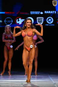 Кубок Вологодской области по бодибилдингу - 2026