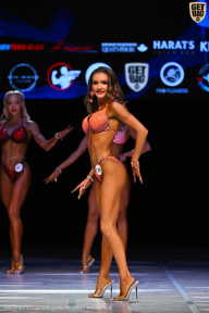 Кубок Вологодской области по бодибилдингу - 2026