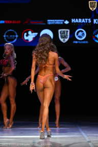 Кубок Вологодской области по бодибилдингу - 2026