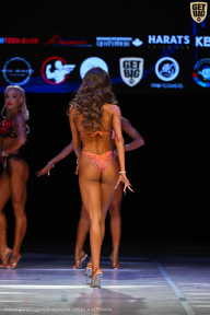 Кубок Вологодской области по бодибилдингу - 2026