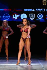 Кубок Вологодской области по бодибилдингу - 2026