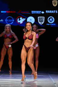 Кубок Вологодской области по бодибилдингу - 2026