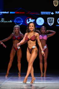 Кубок Вологодской области по бодибилдингу - 2026