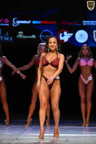 Кубок Вологодской области по бодибилдингу - 2026