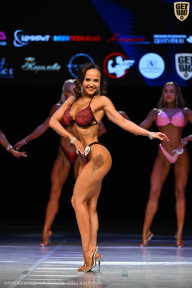 Кубок Вологодской области по бодибилдингу - 2026