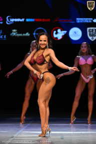 Кубок Вологодской области по бодибилдингу - 2026