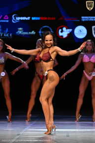 Кубок Вологодской области по бодибилдингу - 2026