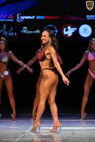 Кубок Вологодской области по бодибилдингу - 2026