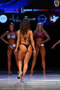 Кубок Вологодской области по бодибилдингу - 2026