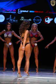 Кубок Вологодской области по бодибилдингу - 2026