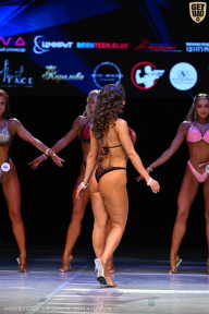 Кубок Вологодской области по бодибилдингу - 2026