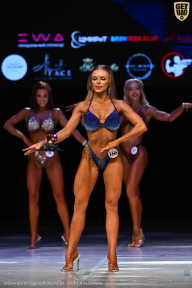 Кубок Вологодской области по бодибилдингу - 2026