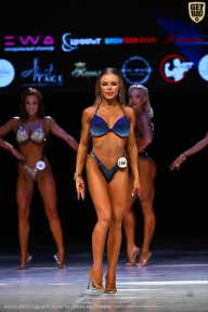 Кубок Вологодской области по бодибилдингу - 2026