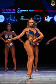 Кубок Вологодской области по бодибилдингу - 2026