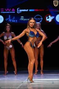 Кубок Вологодской области по бодибилдингу - 2026