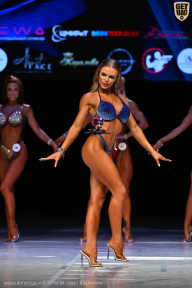 Кубок Вологодской области по бодибилдингу - 2026